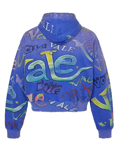Vale Iceberg Zip Up Hoodie